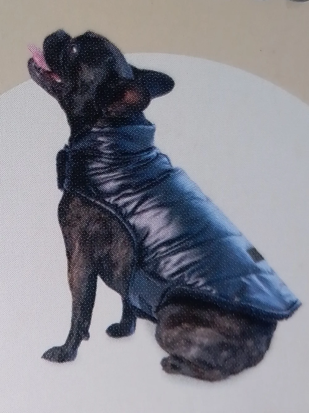 Metallic Pet Puffer Jacket